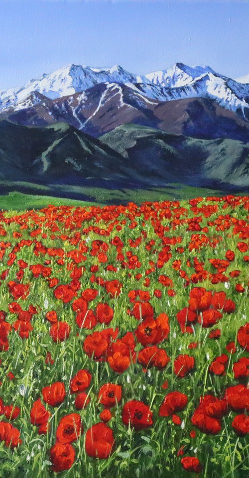 Mountain, Field of poppies by Natalia Shaykina