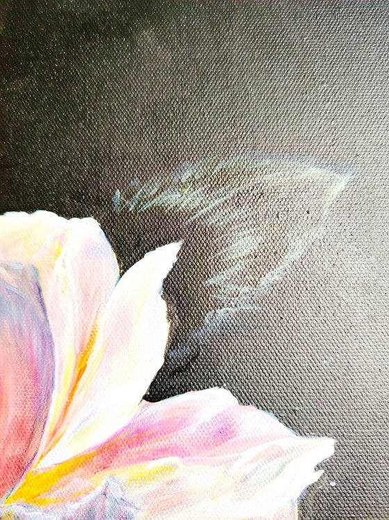 Whisper of Luminescent Peony.