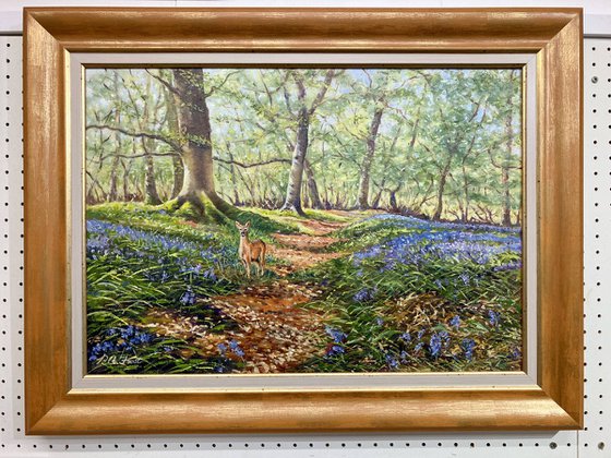 Roe Amoung the Bluebells