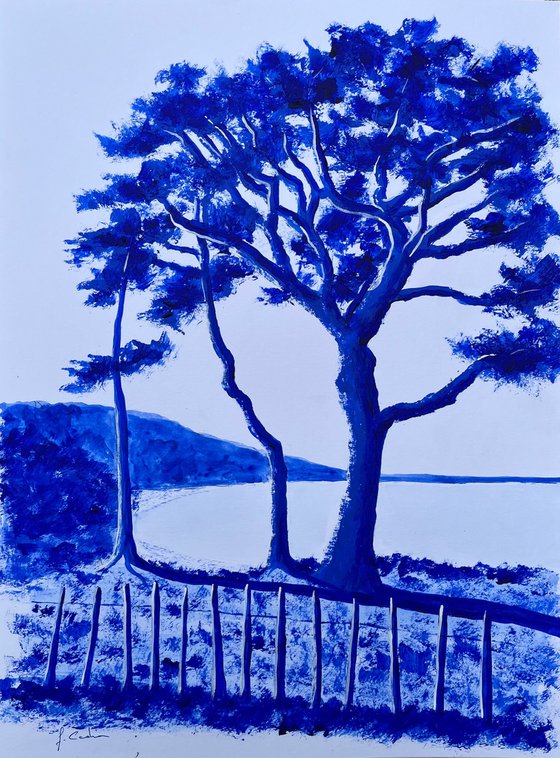 Palombaggia ultramarine