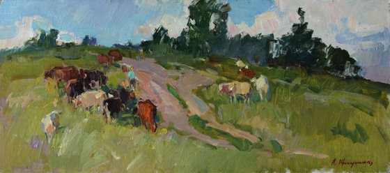 On the summer pasture