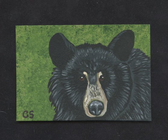 ACEO ATC Original Miniature Painting Black Bear Wildlife Art-Carla Smale