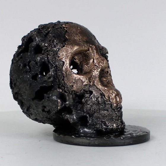 Skull 36-23