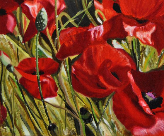 Poppies, Original Oil Painting