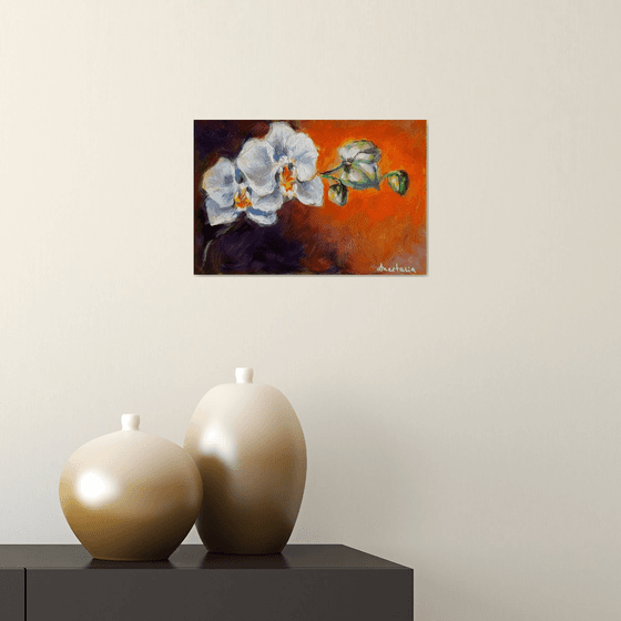 White orchids Framed and ready to hang floral painting