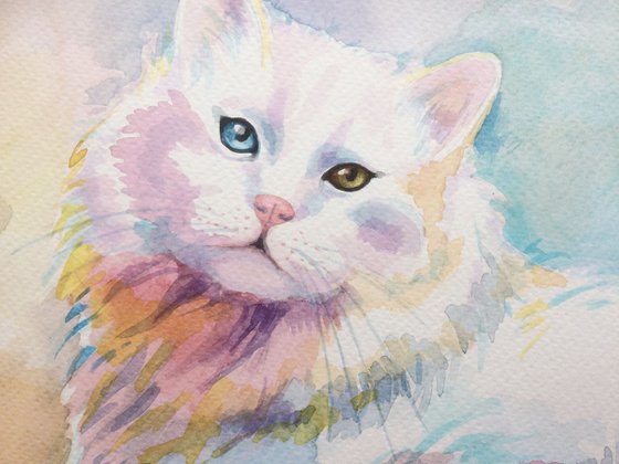 White cat