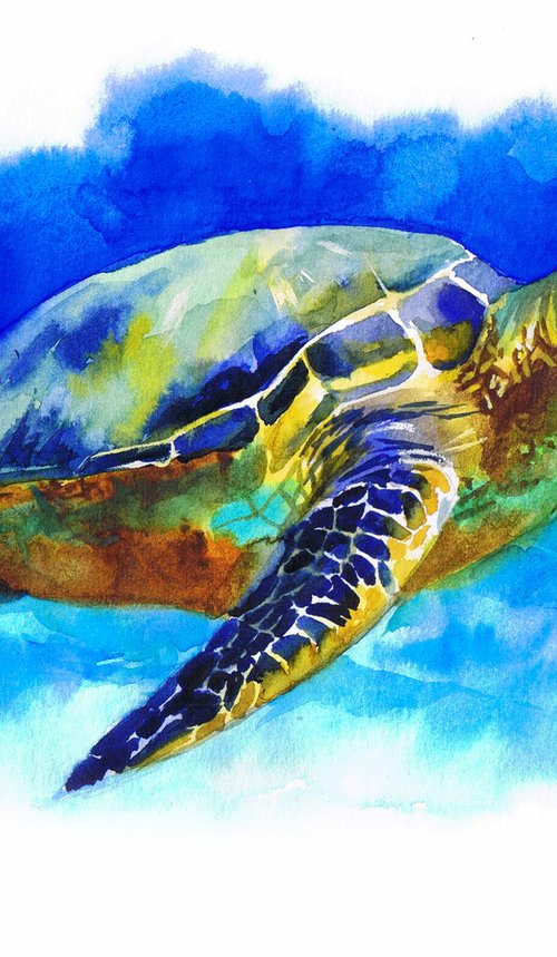 Animal original watercolor turtle painting by Marta Nyrkova