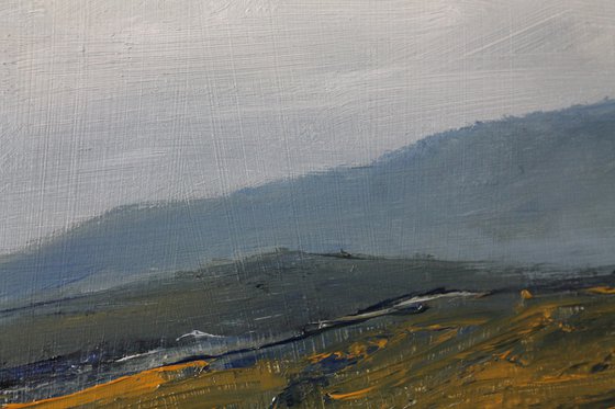Donegal Wetlands, Irish Landscape