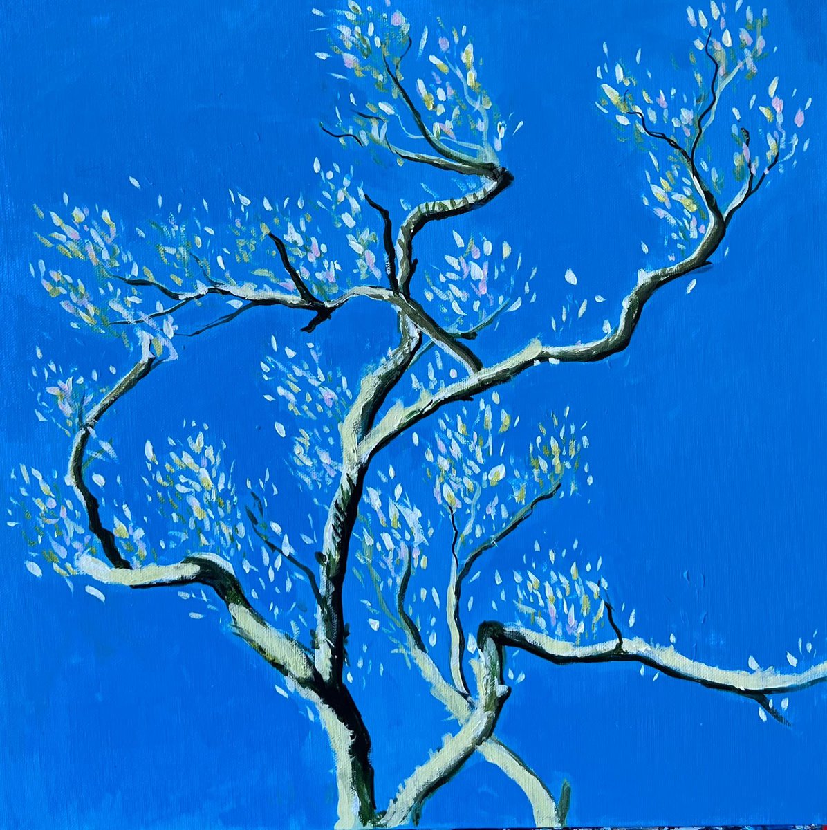  Magnolia In Spring 5 By Shabs Beigh, 16 X 16, Artwork For Sale On Artfinder