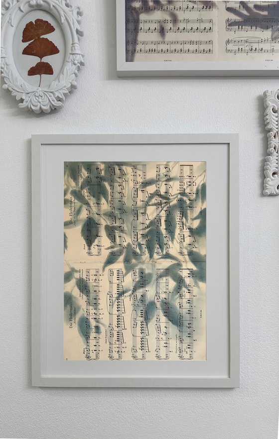Shadows on Sheet Music - Soft Blue Leaves