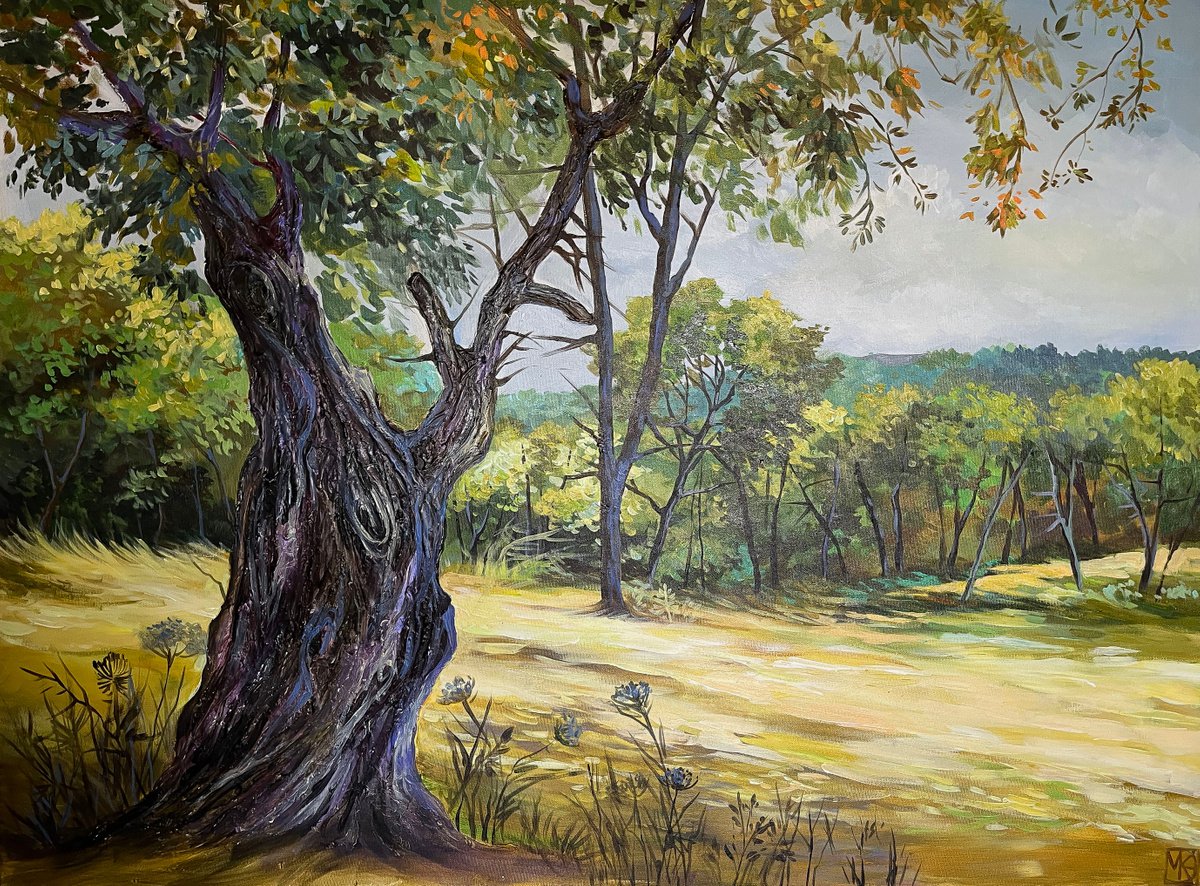 Impressionistic Landscape Acrylic Painting By Maria Kireev, 47 X 35", Olives Of Holy Land, Original Artwork