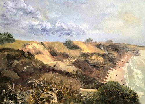 View from Steamer point, Dorset, an oil painting. by Julian Lovegrove Art