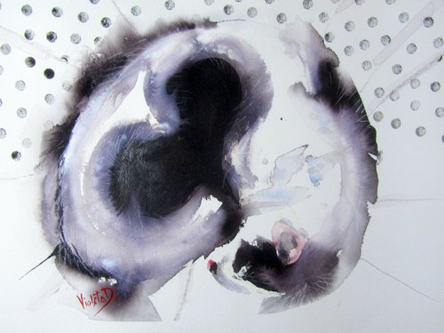 A Cat called Love by Violeta Damjanovic-Behrendt