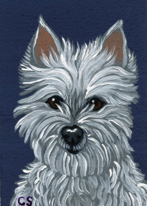 ACEO ATC Original Miniature Painting White Westie Terrier Pet Dog Art-Carla Smale