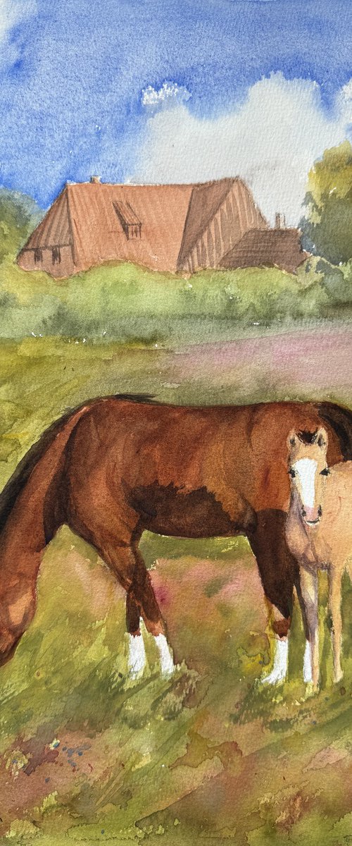 Horse and bub by Shelly Du
