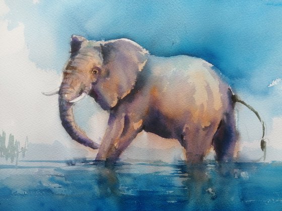 elephant 25