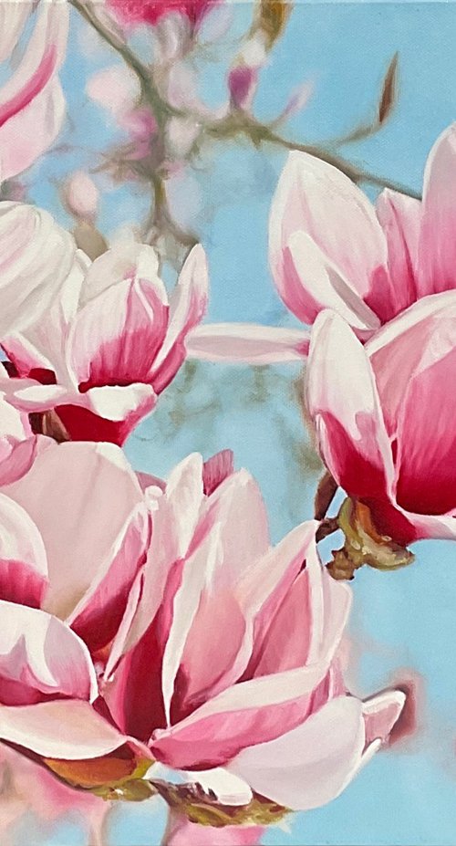Magnolia Flowers by Alla Kallas