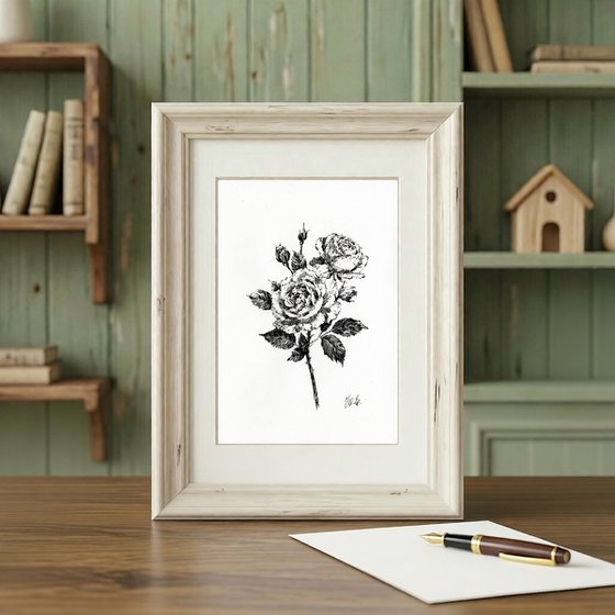 Novalis roses