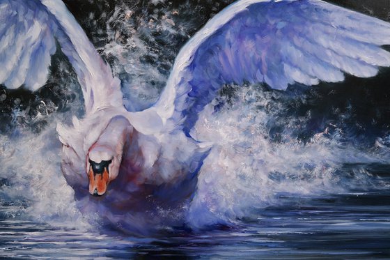 "A moment of freedom"