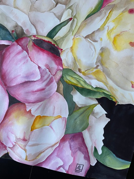 Peony Symphony