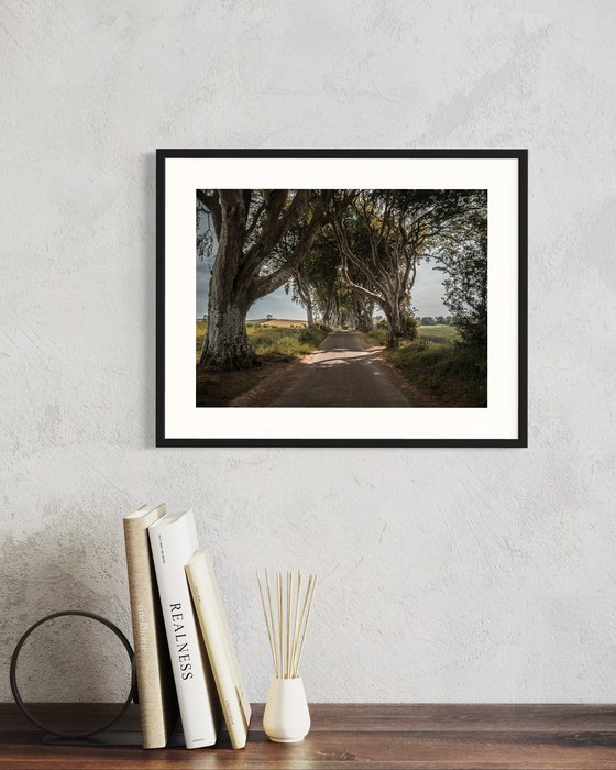 THE  FANTASTIC DARK HEDGES #4