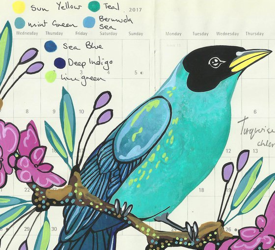 Birds of South America: Turquoise Honeycreeper