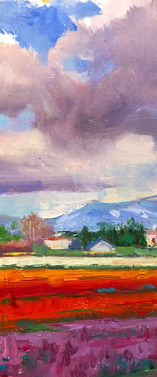Pink Cloud by Emily Lane