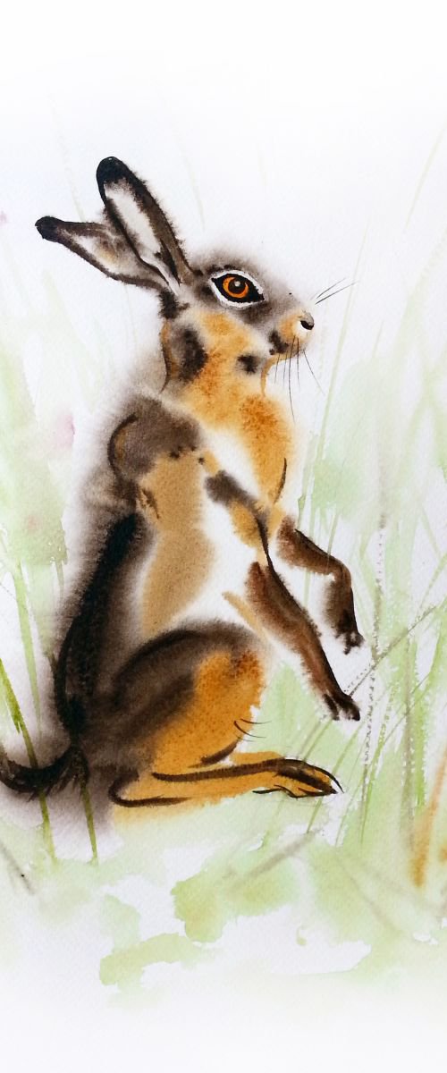 Wild Hare - Brown Bunny by Olga Beliaeva Watercolour