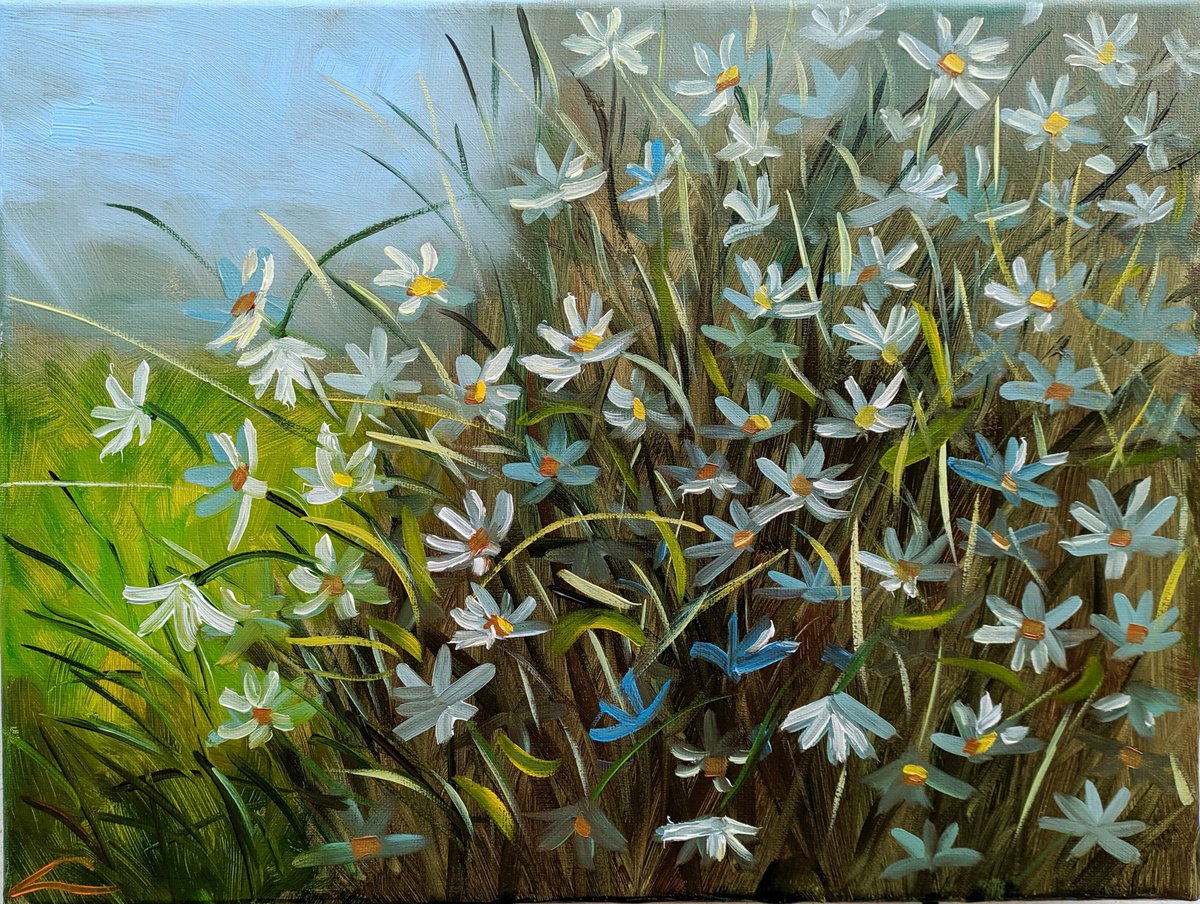 Impressionistic Botanical Oil Painting By Elena Sokolova, 16 X 12, Daisies 2, Original Artwork