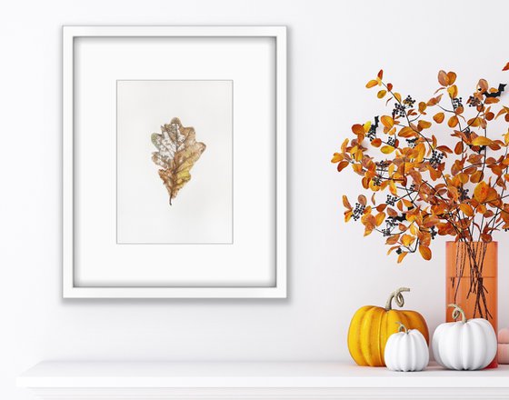 Last dance - oak leaf botanical watercolour illustration.