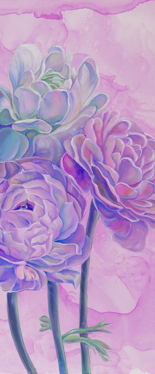 Lilac Ranunculus by Olga Volna