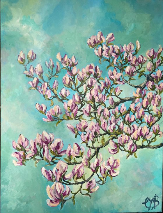 Magnolia in Spring