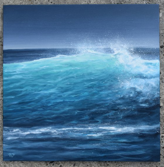 "Secrets that the waves Hide" SPECIAL PRICE!!!