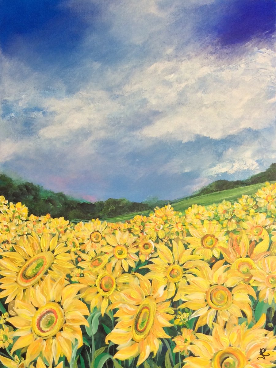 Sunflower Meadow by Jan Rogers