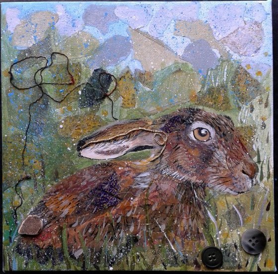 Hare in the meadow