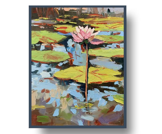 Water Lily pond.