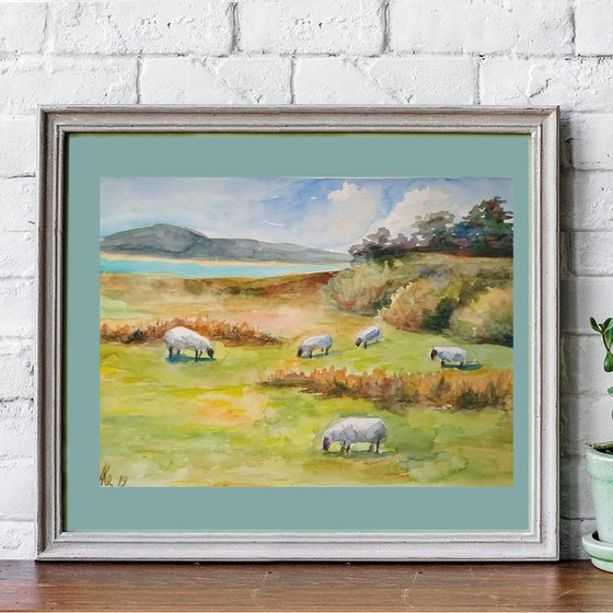 Scottish landscape with sheep