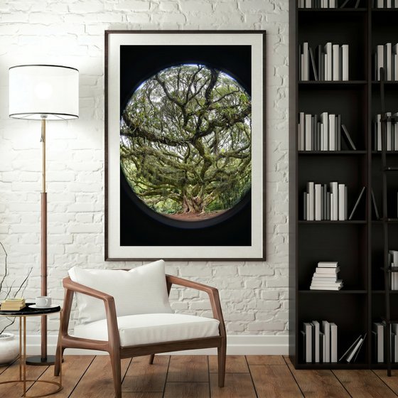 Tree of Life