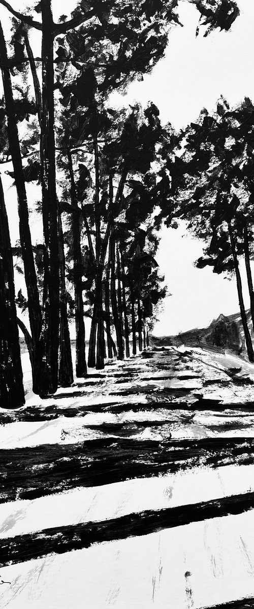 Cap Coz black by Cadiou Frederic