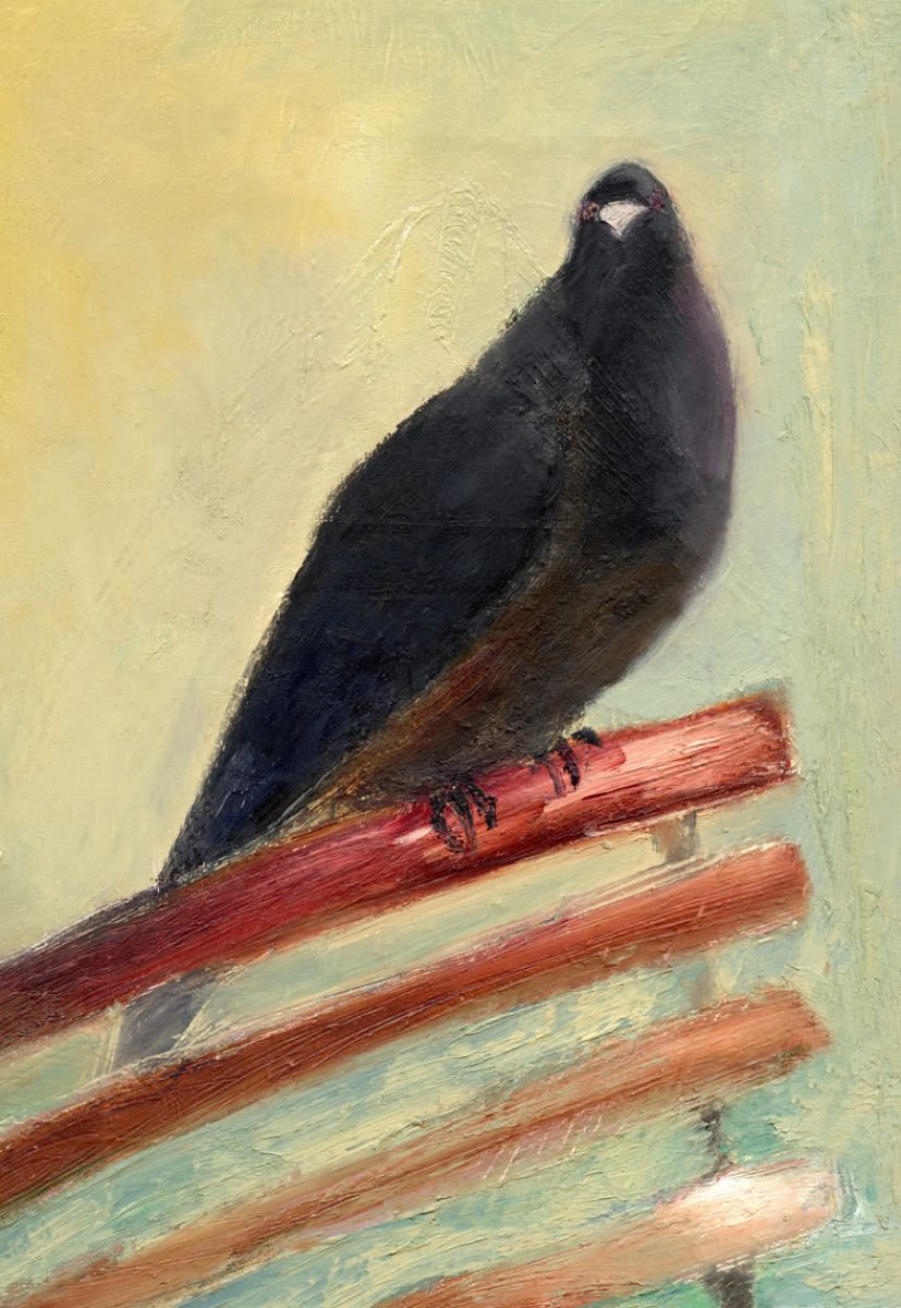 Kingly Court Pigeon by Nancy M Chara