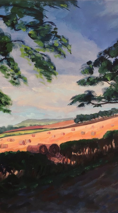 'Largo Law, Fife, distant view over fields' by Stephen Howard Harrison