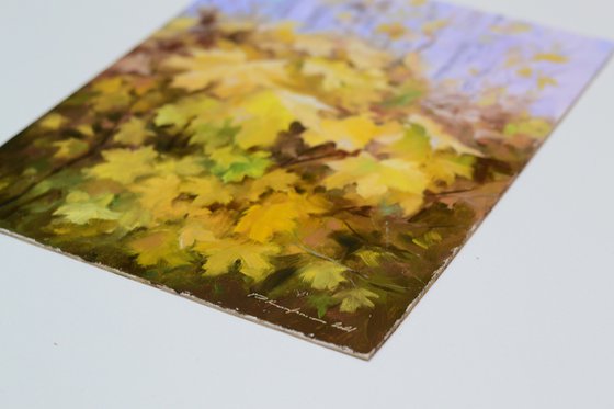 MAPLE LEAF