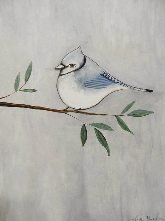 The Blue Jay bird