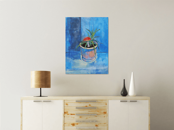 Amanita and Aloe. Relation ship