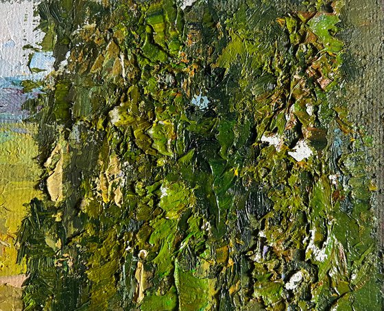 Sunny Day in the Birch Forest