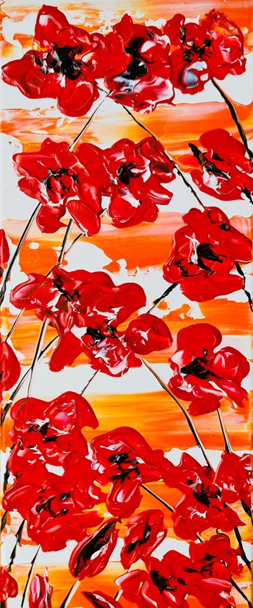 Poppy Songs by Daniel Urbaník