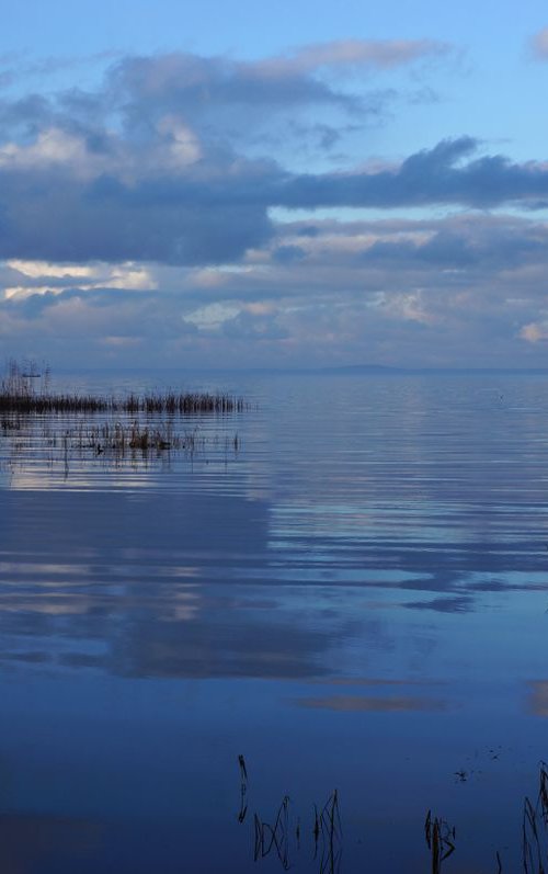 Photography | Curonian Lagoon | Mirrors of Curonian Lagoon V by Egle Selevi