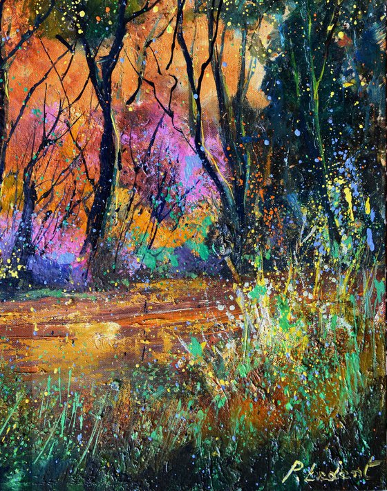 Colourful forest scenery