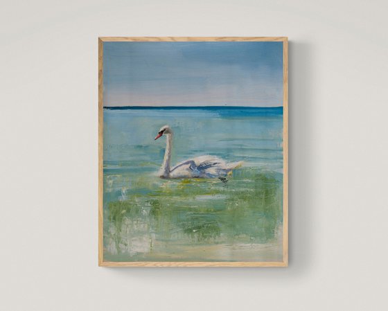 Swan in Skiathos