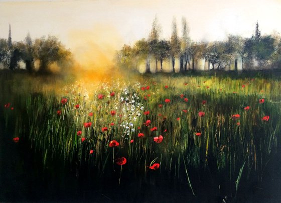 The Last of the Poppies